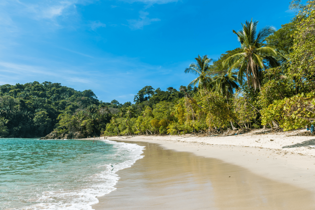 The beach in Manuel Antonio National Park in Costa Rica