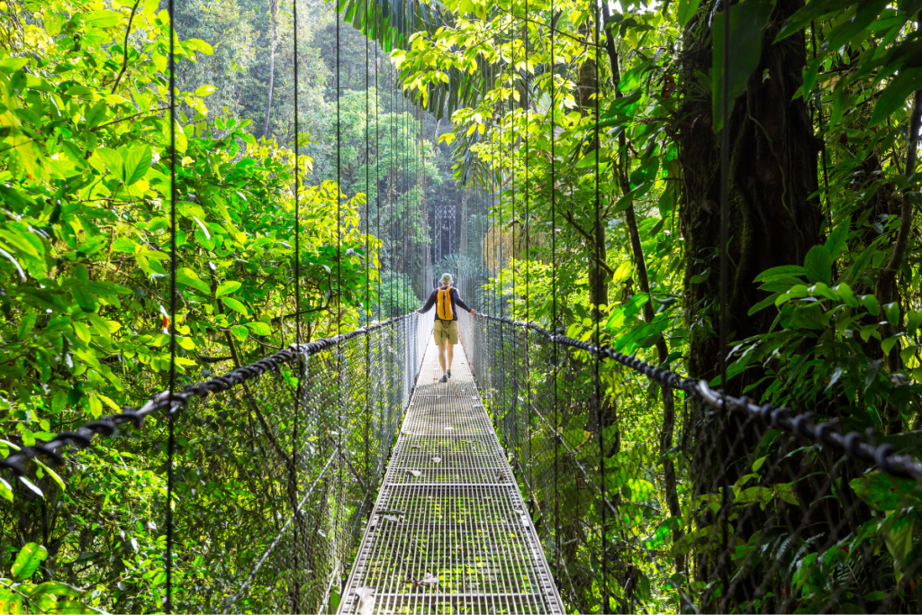 Hanging Bridges in Monteverde, Costa Rica