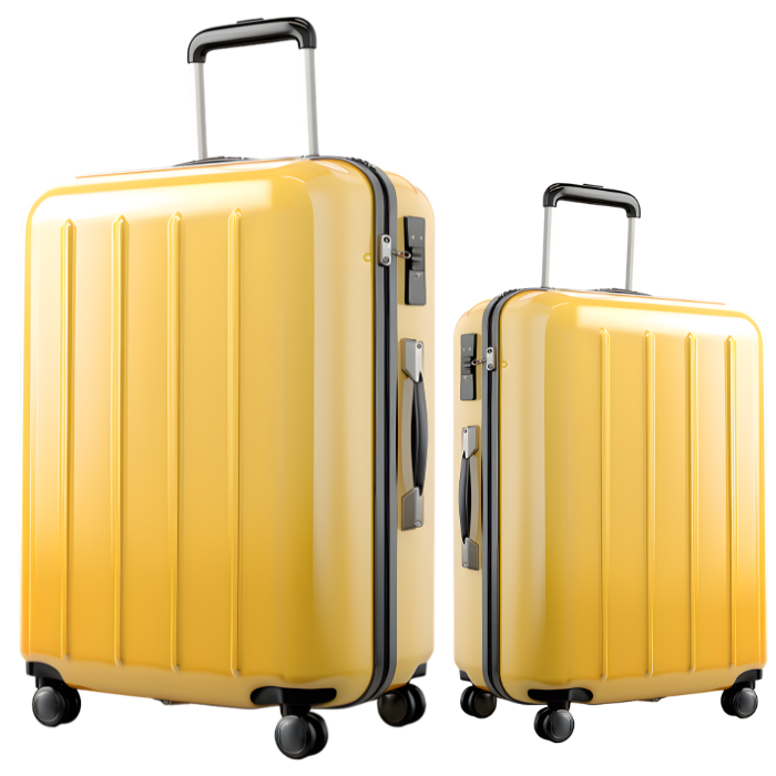 Samsonite Double Spinner Suitcases