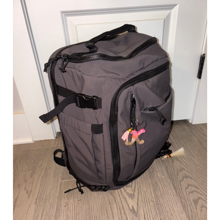 Bagsmart Travel Backpack