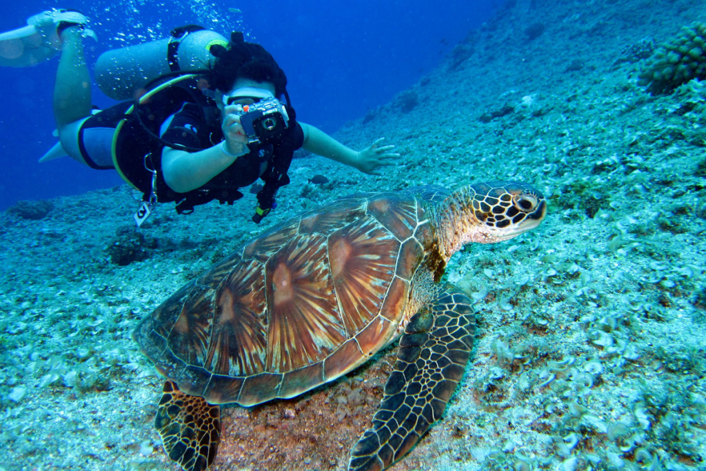 Guanacaste is one of the best places to go scuba diving in Costa Rica.