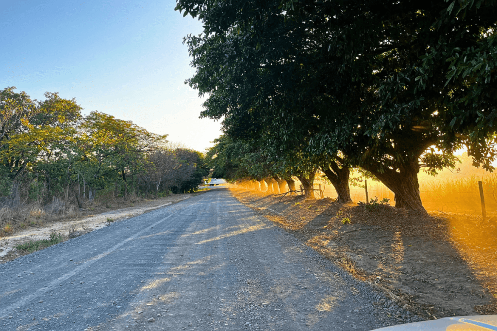 The gravel road leading to the Poza Los Coyotes is generally fine for all vehicles. It is only about 35 minutes from the Liberia Airport, 2 hours from Tamarindo, and about an hour from Playas del Coco.